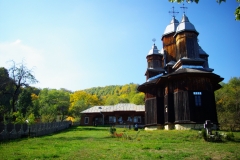 5. Mănăstirea Poiana Mărului © Daniel Stătescu