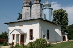 4. Manastirea Barbu - Leiculesti