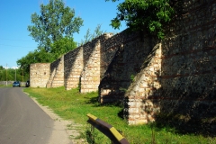 5. Ziduri cetatea Bradu